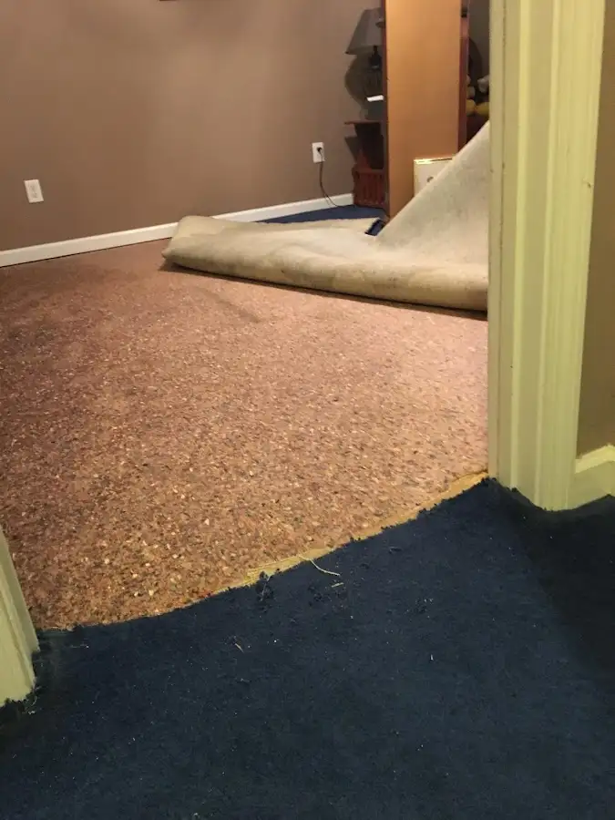Carpet pad removal revealing water damage during Drying & Dehumidification in Thomasville